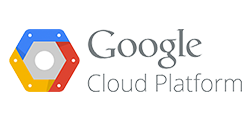 Technology partner